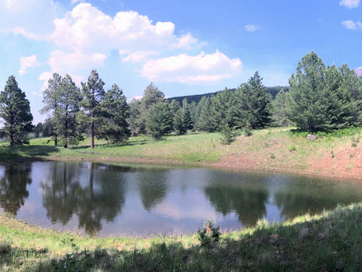 So, you leave behind the hopeless flirt, and let love flow out of you. Which is infinitely more real. More undeniable.