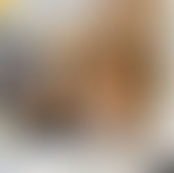 Puppies and Procreation