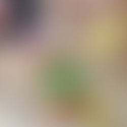 3 Pestos Incríveis para Sair do Tradicional