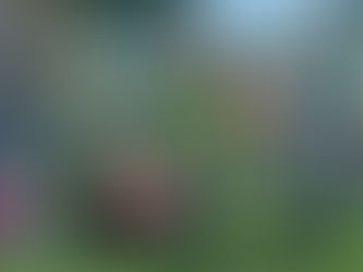 3歳〜5歳が「一生の運動神経」を決める？幼児期にサッカーが最適な理由とは