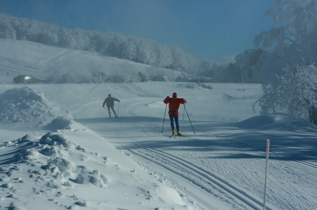Location meublée Ballon d'Alsace Hautes Vosges chalet gite spacieux