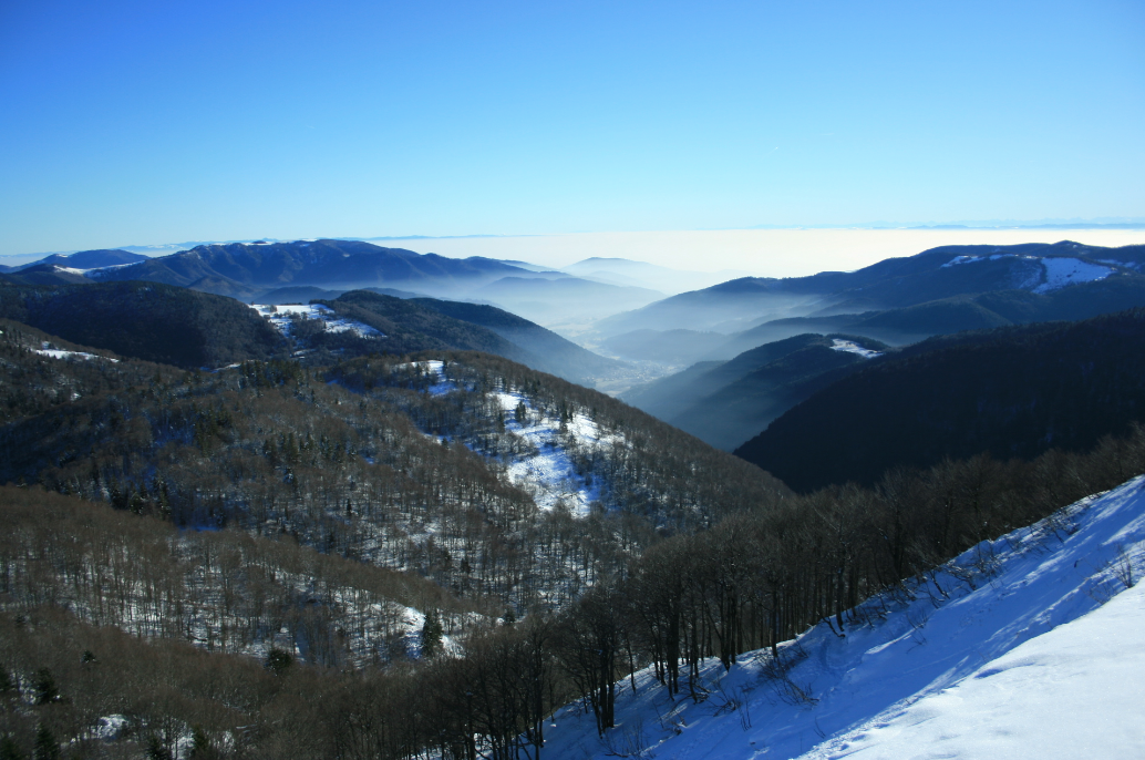 Chalet gite Vosges Ballon d'alsace hébergement collectif 16 personnes