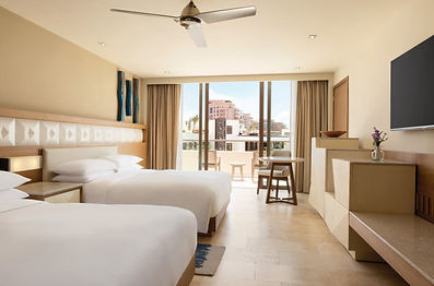 resort vw double.jpeg