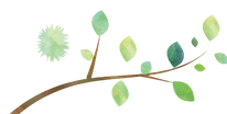 1072962_edited.png