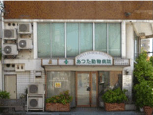 南側
