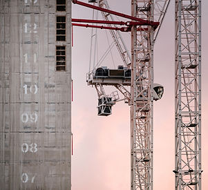 Crane