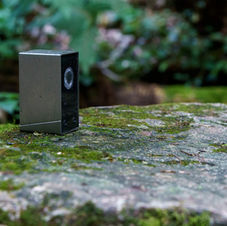 Stral, Dijk wall light