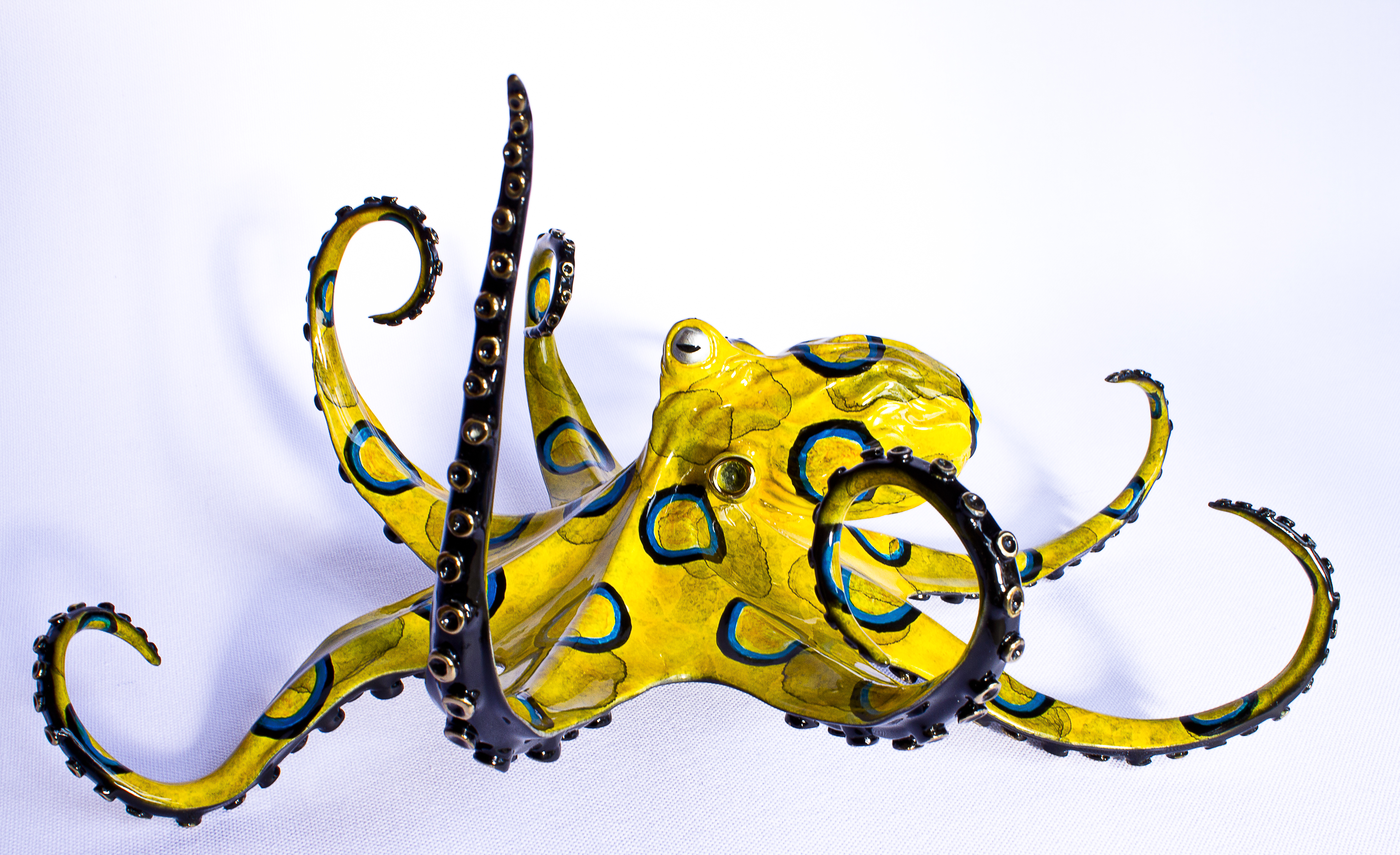 Blue Ring Octopus