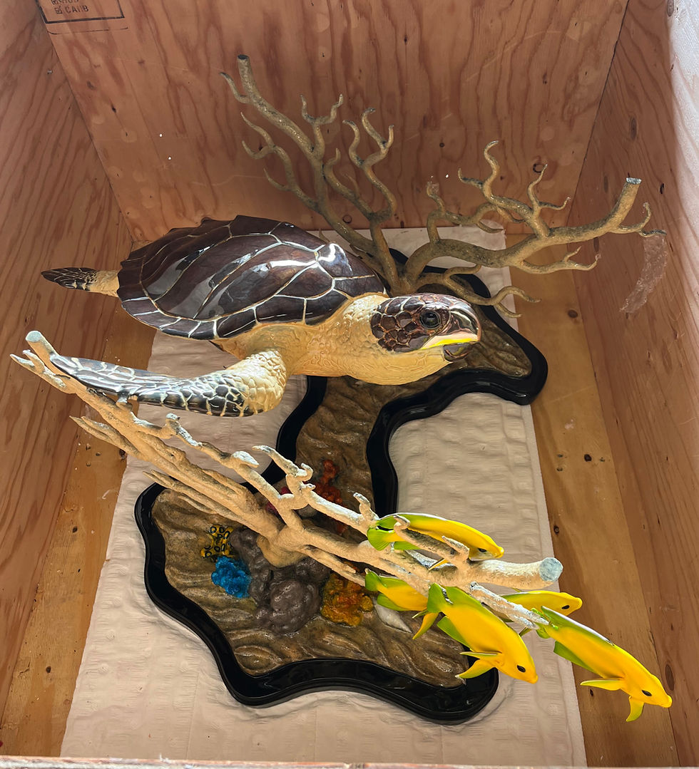 Thumbnail: Turtle Coffee Table, bronze turtle table base