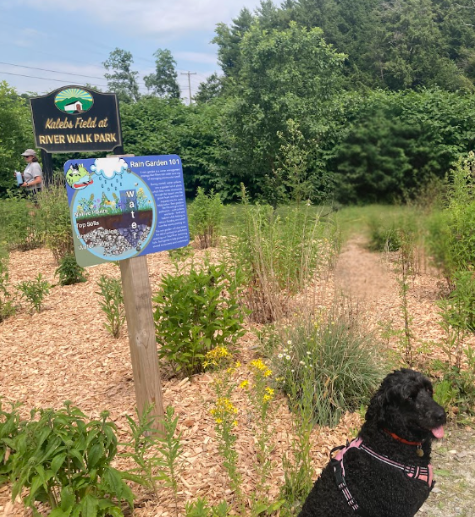 Pearl Maintains a Rain Garden