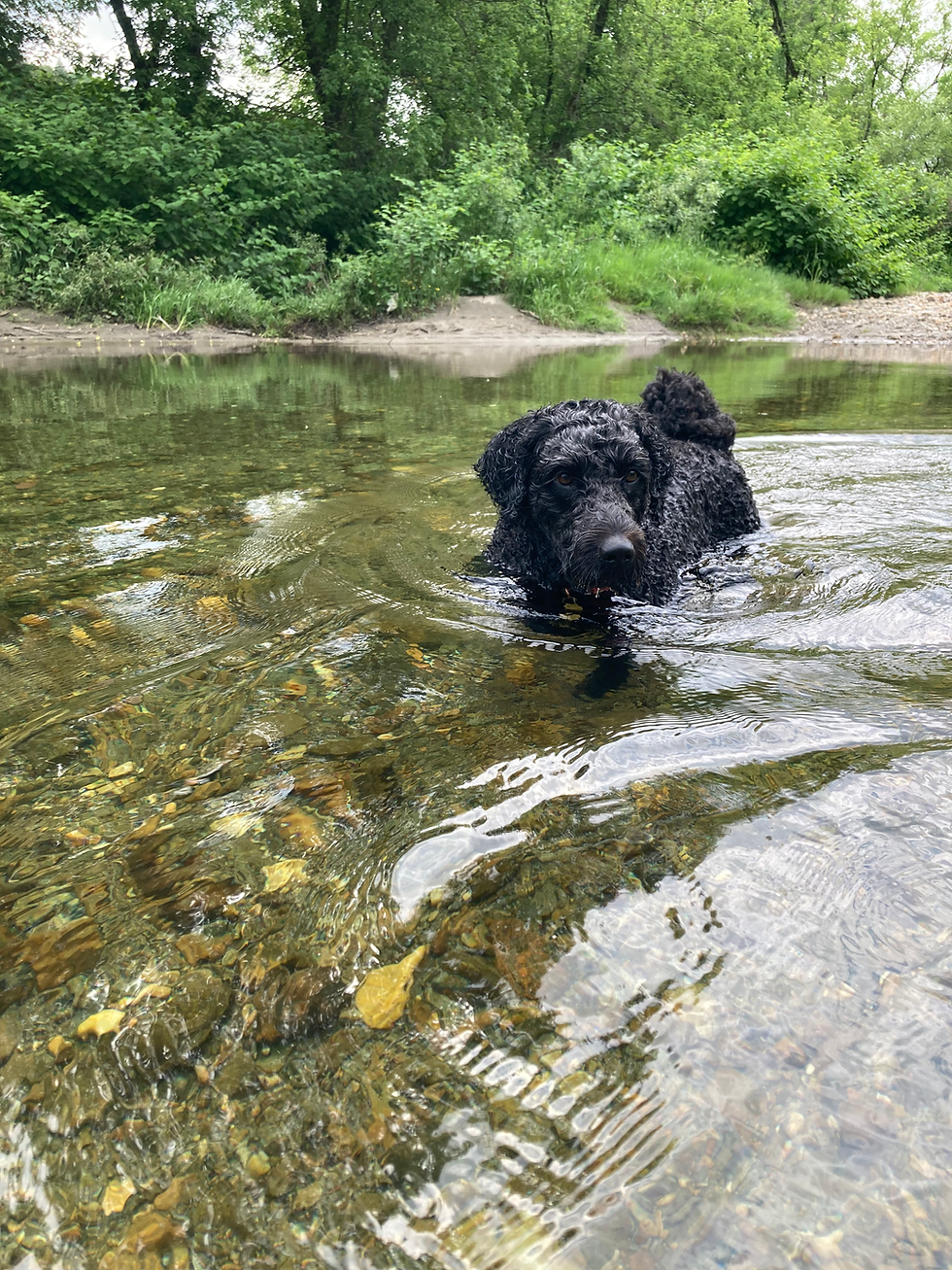 Pearl Goes Swimming