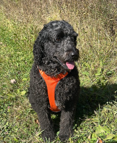 Pearl Celebrates the Spring Equinox 