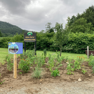 Riverwalk Park Rain Garden