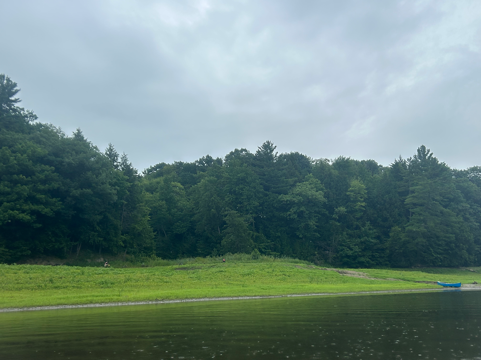 Bank of Missisquoi River Above Dam in Highgate 7/20/25