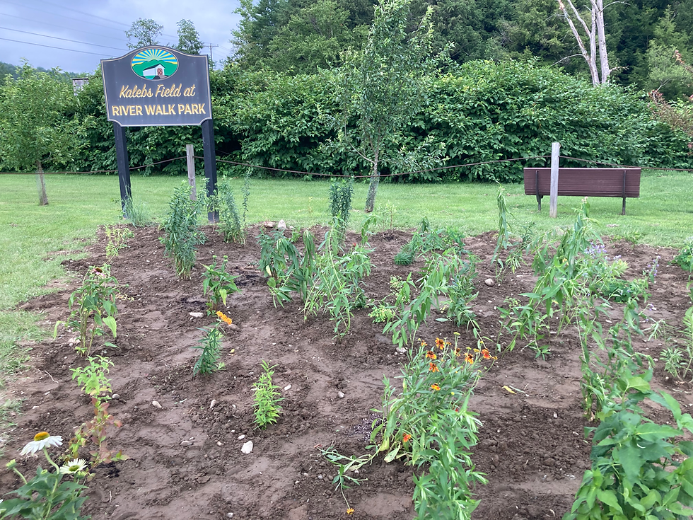 Riverwalk Rain Garden 2024