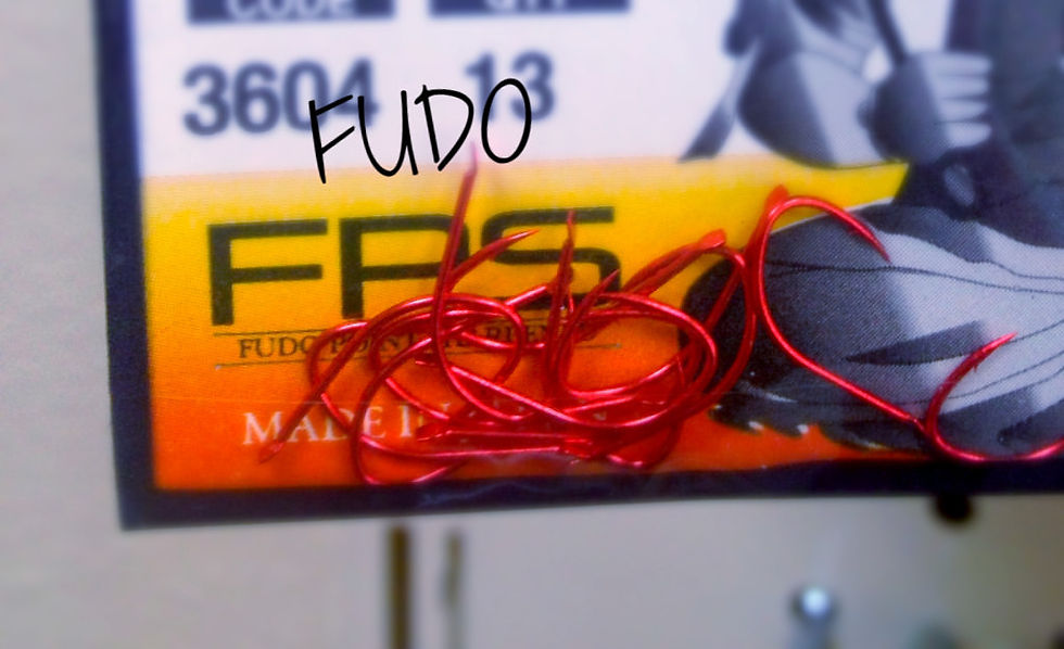 FUDO