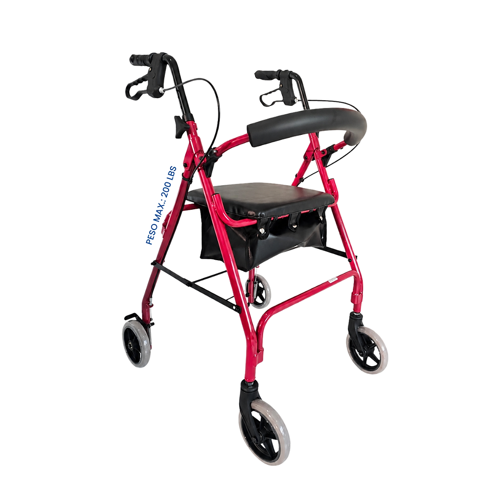 Miniatura: ANDADERA CON ASIENTO Y CANASTA