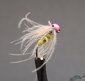 Gummers-Carpet-Caddis-PTB-1-1024x1024.jpg