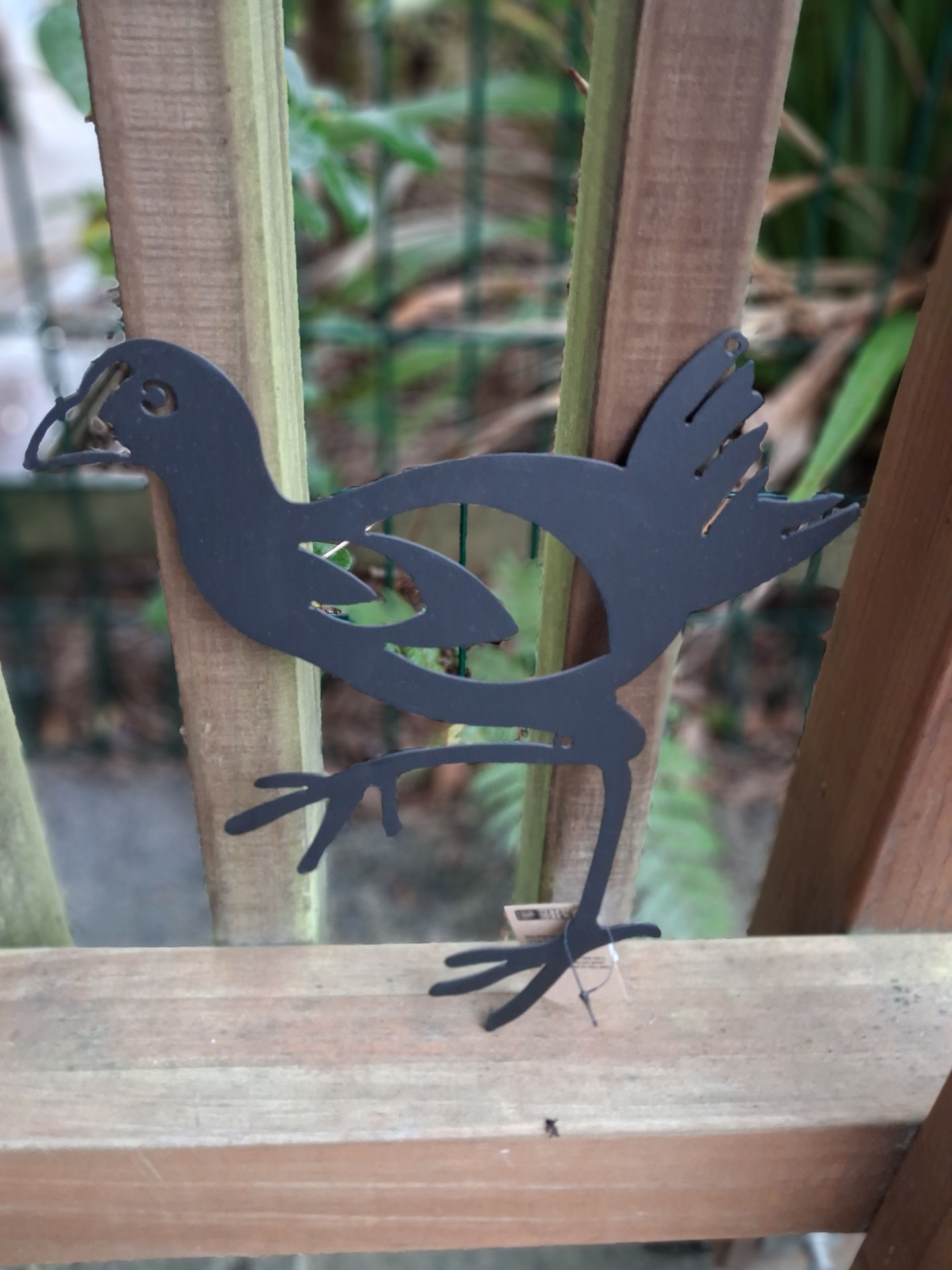 NZD Black Pukeko Wall Art