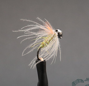 Gummers-Carpet-Caddis-BTB-1-1024x1024.jpg