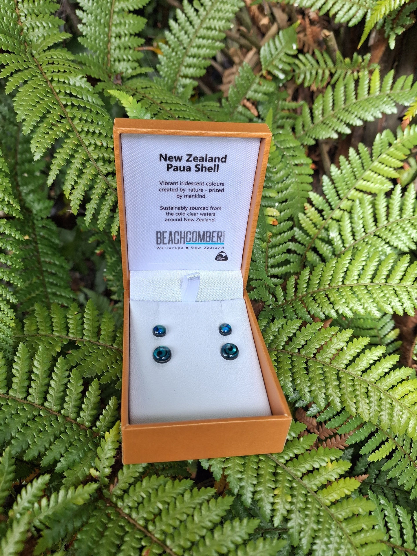 NZD Earrings Paua Stud