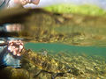 Fly-Fishing-Guide-new-zealand.jpg