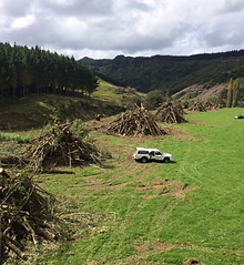 Land clearing Waiakto