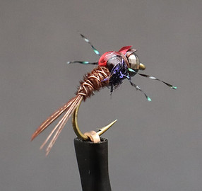 Flashback-Pheasant-Red-1024x1024.jpg