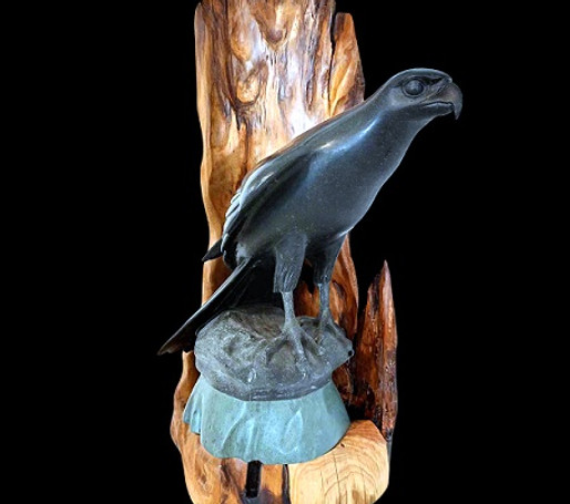 Karearea - NZ Falcon' by Bill Devoy