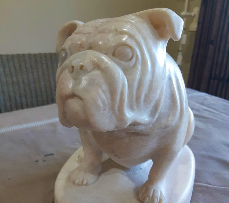 dog.jpg
