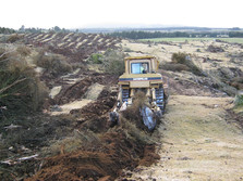 Moerangi_Riip_Mound.jpg