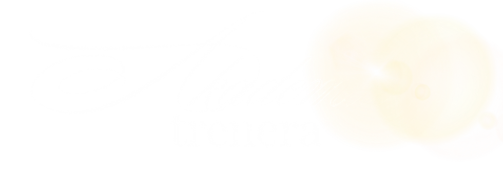 adien (6).png