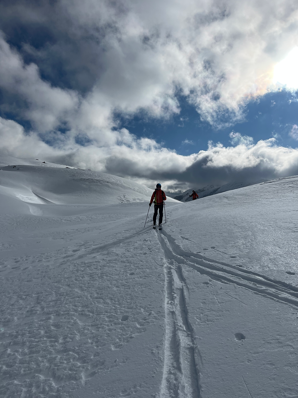 Geländeskitechnik LEVEL 1+2 Kopie