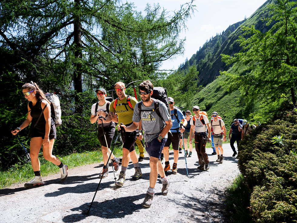 Online Infoveranstaltung Wanderführerausbildung