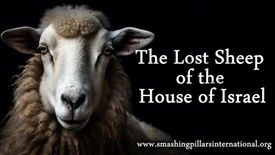 The Lost Sheep of the House of Israel