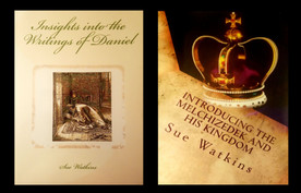 Insights into Daniel by Sue Watkins