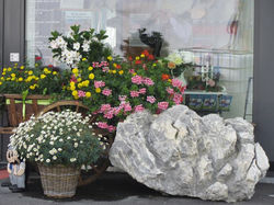 nvv-reise-13-018_lbb