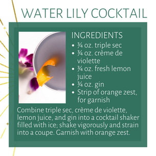 Water Lilly Cocktail