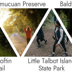 The Best Trails to Explore in Jacksonville