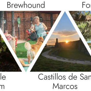 Have Some Fun in Jacksonville