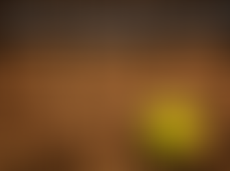 RESILIÊNCIA – A ARTE DE SEGUIR EM FRENTE