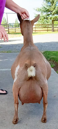 20250613_092218_edited.jpg