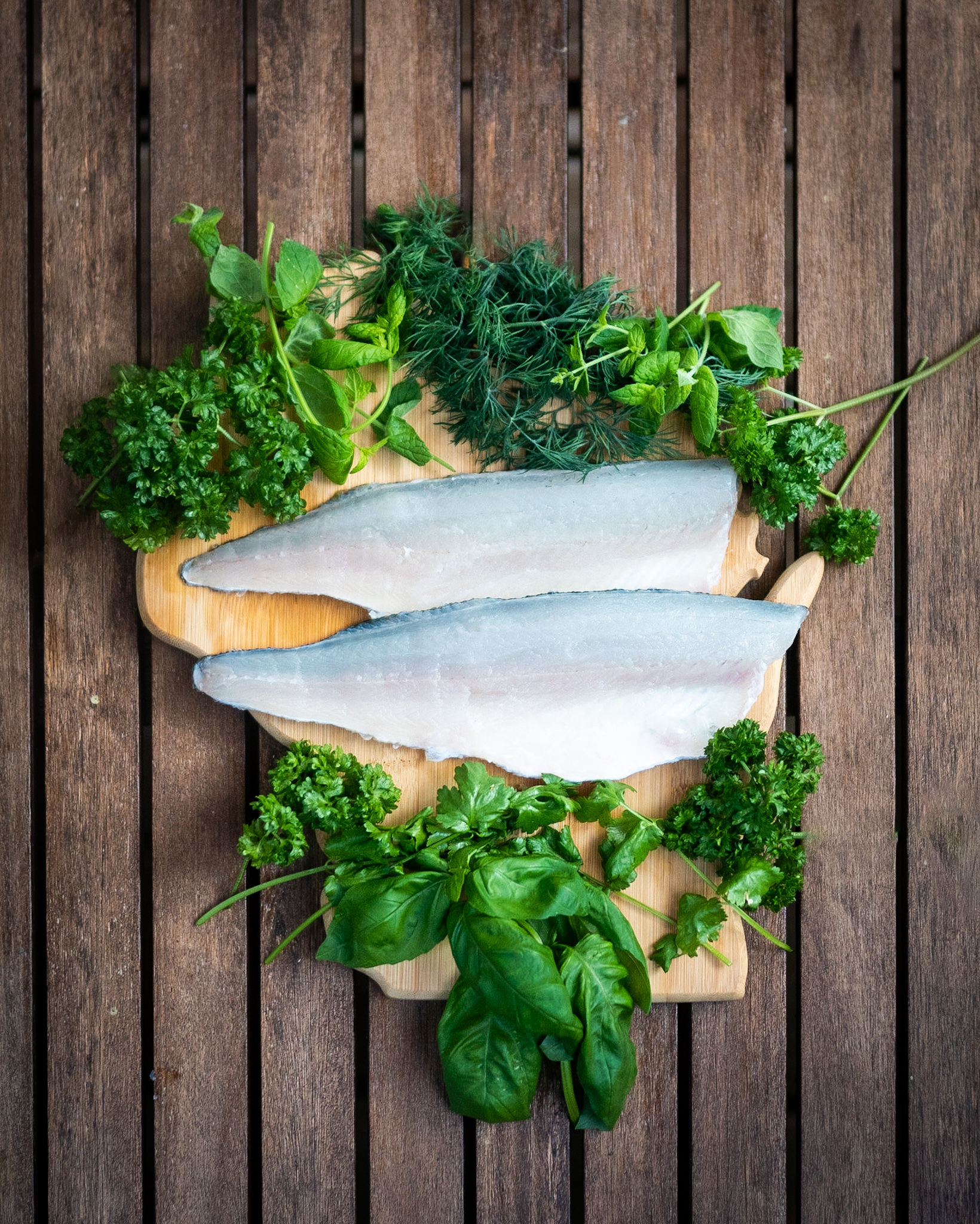 The Aqua Garden Holiday Box