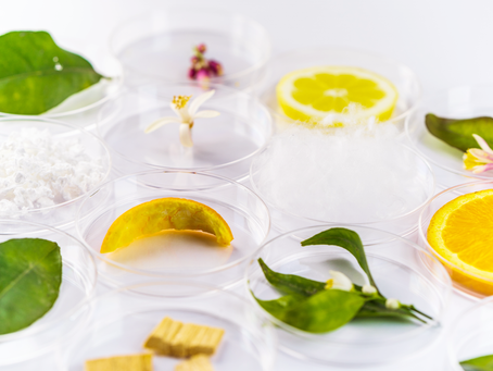 nova-Institute Set to Award Cellulose Fibre Innovation of the Year 2022 in February