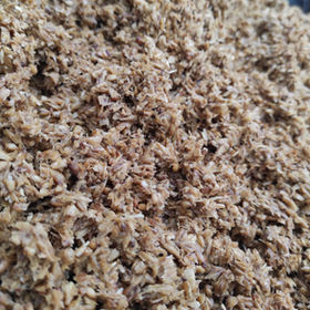 From Brewery Waste to Bio-based Circular Packaging