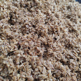 From Brewery Waste to Bio-based Circular Packaging