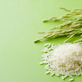 Renewable Montan Waxes Push Sustainability in Auto, Electronics, Medical Device Sectors