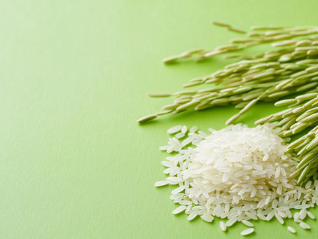 Renewable Montan Waxes Push Sustainability in Auto, Electronics, Medical Device Sectors