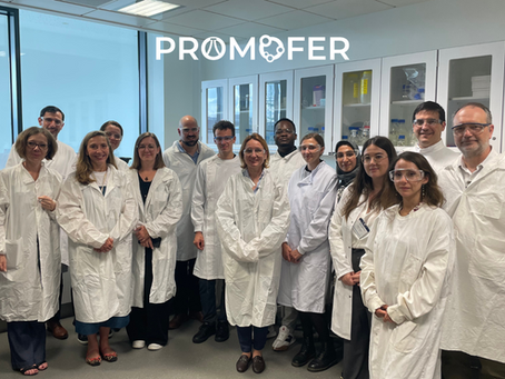 Project Targets Bioplastics, Sustainable PU from Agri-food and Lignocellulosic Residues