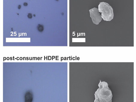 Microplastics When the Gloves are Off